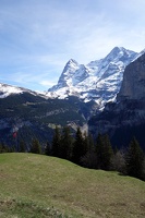 00951 eiger and meadow