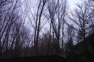 06554 castle in trees