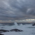 09250_plumes.JPG