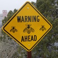 09783_warning_bees_ahead.JPG