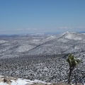 09912_snow_dusting_with_joshua_tree.JPG