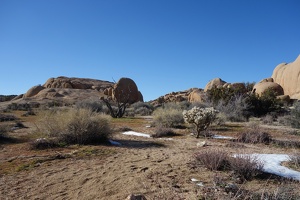 09974 desert landscape