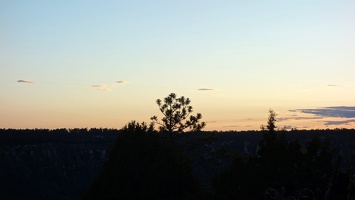 01002 trees at sunset v1