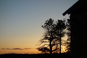 01172 tree and sunset at n rim lodge