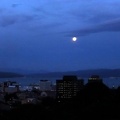 04217_wlg_by_night_v1.JPG