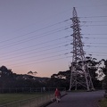 20200428_175007_walking_the_dog_v1.jpg