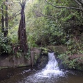 20201003_034511750_falls_in_karori.jpg