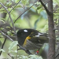 60621_hihi.JPG