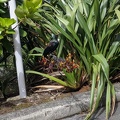20201028_023234611_tui.PORTRAIT-01.COVER_v1.jpg