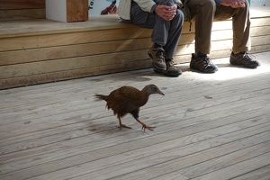 00679 weka