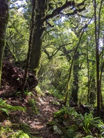 20200229 150807 trail