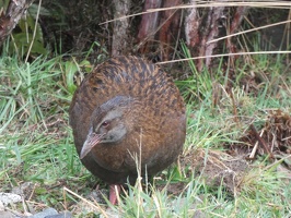 30752 first weka of this trip