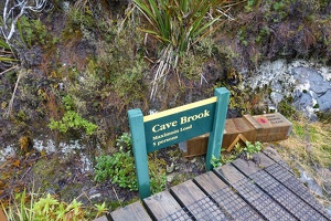 06082 cave brook