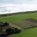 06302_fields_including_cows.JPG