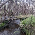 20200802_100435_other_bridge.jpg