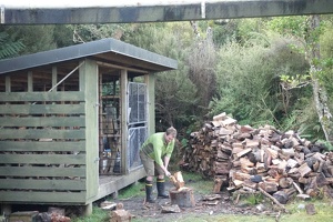07361 chopping wood