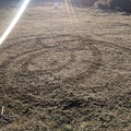 20200915_071459_circles_in_the_grass.jpg
