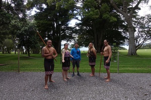 09651 plam with waitangi treaty grounds maori