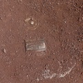 09898_geodetic_survey_mark.JPG