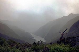 00793 doubtful sound deep cove from bus v1