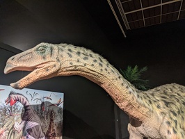 Dinosaur rEvolution at Otago Museum, and out of Dunedin, January 1