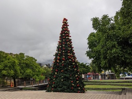 20201223 193743744 queenstown christmas tree v1