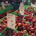 20210703_235507762_queer_apple_eh.jpg