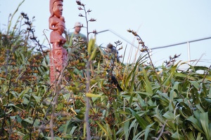 05589 obscured tui
