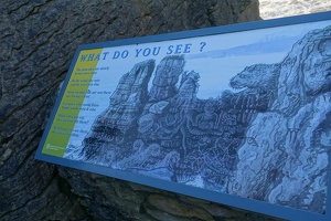 04277 what do you see guide
