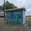 20210731_232219923_meitaki.jpg