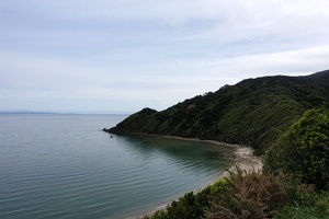 06633 wainui bay v1