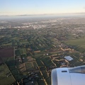 20210915_055007324_tree_hedges.jpg