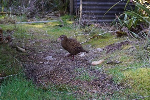 02329 weka