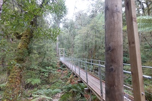 05839 watson creek suspension bridge