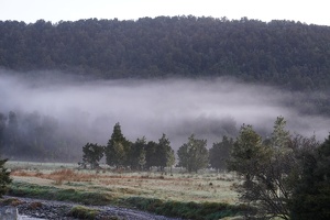 02731 low clouds and trees