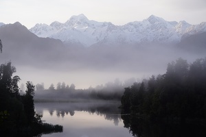 02768 tasman cook and mist