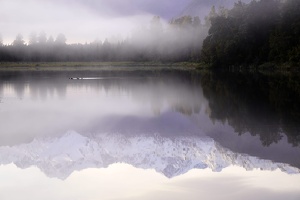 02789 pink reflections v1