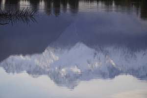 02842 reflection