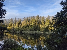 20210919 194703180 reflected trees