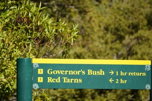 04273 governors bush and red tarns