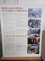 20211121 004920491 about chinese miners and gardeners