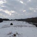 20220119_160823462_snowy_hills_v1.jpg