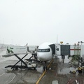 20220315_181456489_plane_docked.jpg