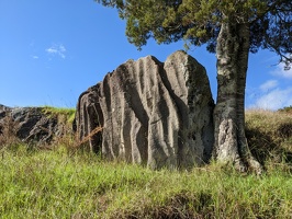 Wairere Boulders, April 19