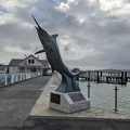 20220420_205757315_paihia_swordfish_statue.jpg