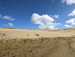 20220423 225239960 more dunes