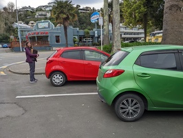 20220903 012206204 red and green demios
