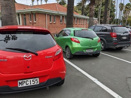 20220903 012225964 red and green demios