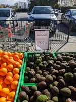 20221005 030707706 tiny avocados for cheap