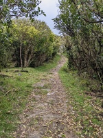 20221024 203242966 path